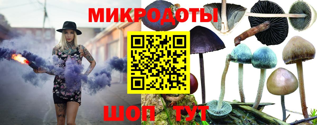 Протвино  Псилоцибиновые грибы Psilocybine cubensis  Вход с VPN 